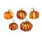 Various colorful pumpkins watercolor illustration isolated on white. Vibrant autumn squashes. Thanksgiving clipart.