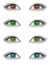 Various colors eyes isolated on white background