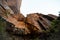 Various colors, textures, scenery and rock formations among the Zion National Park landscapes in the American southwest in the