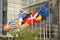 Various country flags in front of the European Parliament in Brussels, Belgium