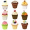 Various cupcake set with different topping