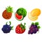 Various cute fruit game icon set