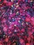 Various delicious frozen berries fruits mix