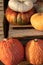 various different types of pumpkins and gourds piled up