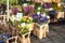 Various flowers on display at street flower stall in London market, Bouquets displayed inside plastic boxes