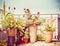 Various flowers patio pots and planter on terrace or balcony