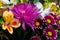 Various flowers rose gerbera daisy chrysanthemum close up