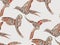 Various flying birds with ornaments scandinavian style. Flat design