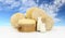 Various forms of cheese with milk on the table and sky background
