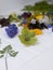 Various fresh flowers lie on the table. Herbarium preparation. Large hellebore flowers and violets on a cotton pad are