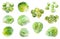 Various fresh and frozen Brussels sprouts isolated
