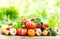 Various fresh vegetables on wooden table