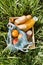 Various fruits and cold beverages in a wooden box