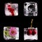 Various fruits and flower into ice cubes