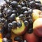 Various fruits - grapes, apple,