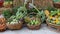 Various fruits, Thai fruits, bananas, papaya, pomelo in baskets for sale in the community market in the pedestrian street