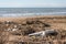 Various garbage on beach