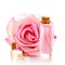 Various glass bottles with transparent liquid and pink rose