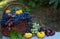 Various grapes and fruits in a basket