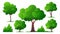Various green tree element collection with simple flat design