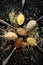 Various groats, cereals. Different types of groats on a spoons on a black background, top view.