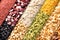 Various groats legumes, grains. Many types of cereals collected together. Agriculture and healthy eating concept. Close-up.