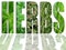 Various herbs in letters of the word HERBS, collection of fresh green herbs in text shape