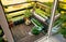 Various herbs and plants growing on home wood balcony in summer, small vegetable garden.