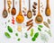 Various herbs and spices in wooden spoons. Flat lay of spices in