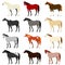 Various horse colors