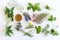 Various kinds of fresh garden herbs, Fumaria officinalis, dandelion, Glechoma, Lemon balm, raspberry, and blackberry leaf, leaves