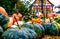 Various kinds of pumpkins at a weekly market.