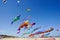 Various kites flying on the blue sky in the kite festival