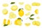 Various lemon flat set. Exotic natural fruits collection.