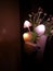 Various lighting color from night lamp mushroom flower. Dark surrounding. Copy space.