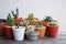 Various little succulent pot plants collection on vintage wood table with free space background