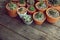 Various little succulent pot plants collection on vintage wood table with free space background