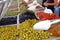 Various marinated olives for sale in a market window