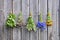 Various medical herbs on wooden wall