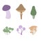 Various mushrooms hand drawn colorful vector illustration. Edible mushrooms and toadstool.