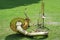 Various musical brass instruments like sousaphone, trombone and saxophone placed on the lawn and waiting to be used in the music