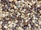 Various nuts arranged in a pile stack organic display backdrop background scene