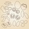 Various nuts types brown outline icons set eps10