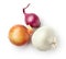 Various onions on white background