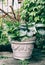 Various ornamental green plants in flower pot with hosta and red ornamental grass