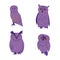 Various owls vector illustrations. Hand drawn cartoon birds. Wisdom symbol and Halloween character