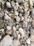 various pebbles and sand on the banks of the Riau Kampar River