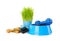 Various pet toys, bowl of food and wheatgrass on white background