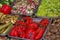 Various prepared foods are on the trays.