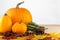 Various pumpkin varieties lie on foliage